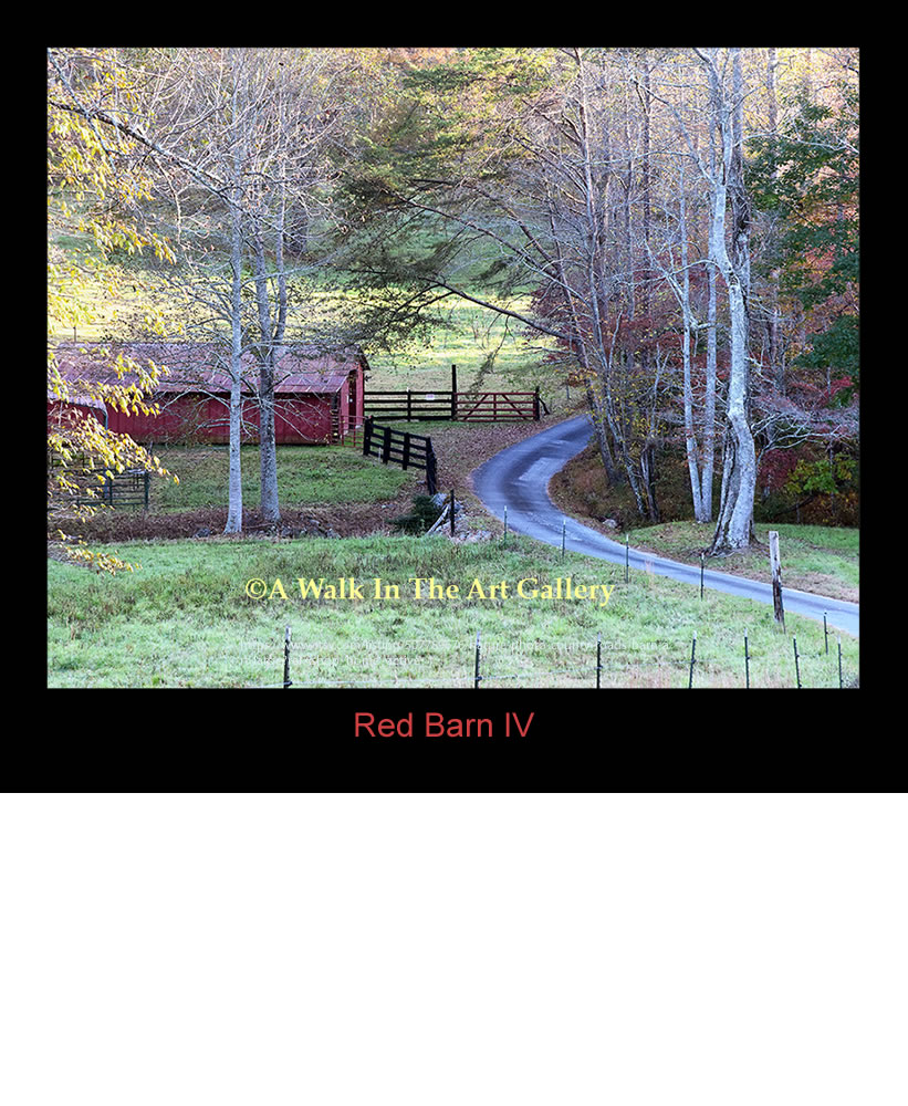 Red Barn IV